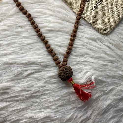 5 Faces rudraksha mala with 7 mukhi nepali bead