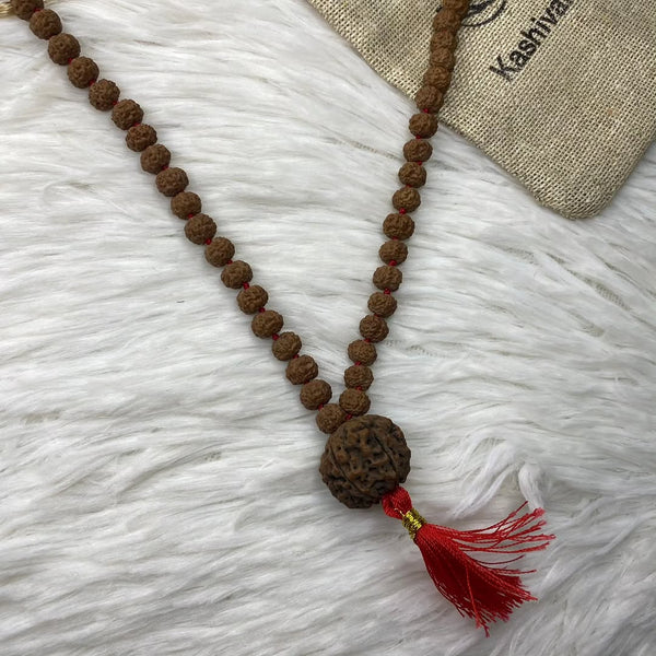 5 Faces rudraksha mala with 7 mukhi nepali bead