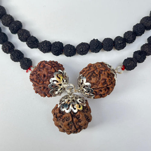 5 mukhi black Rudraksha with 4-5-6 Faces rudraksha pendent