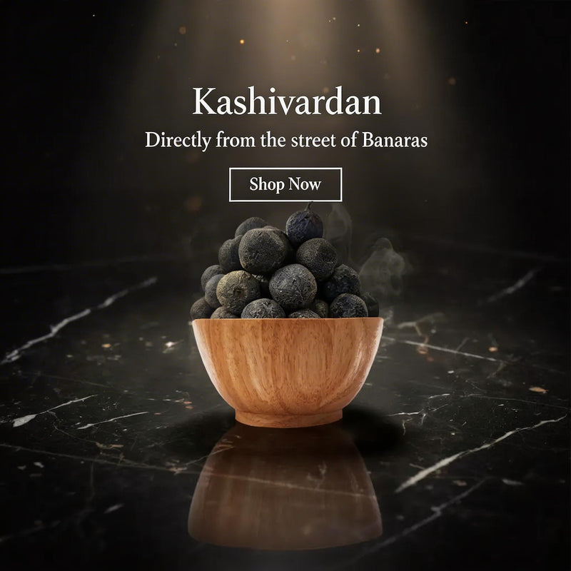 Indonesian Rudraksha